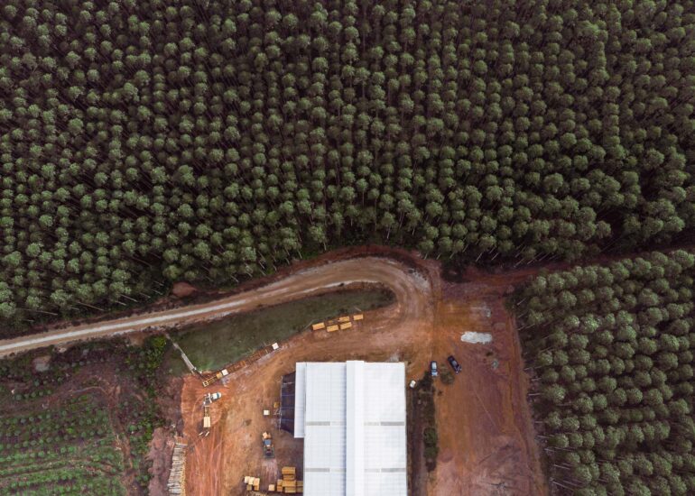 lori paula fotografia aerea serraria 2