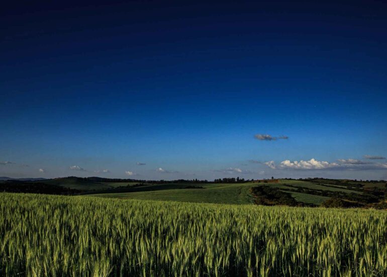 Agribusiness Photography