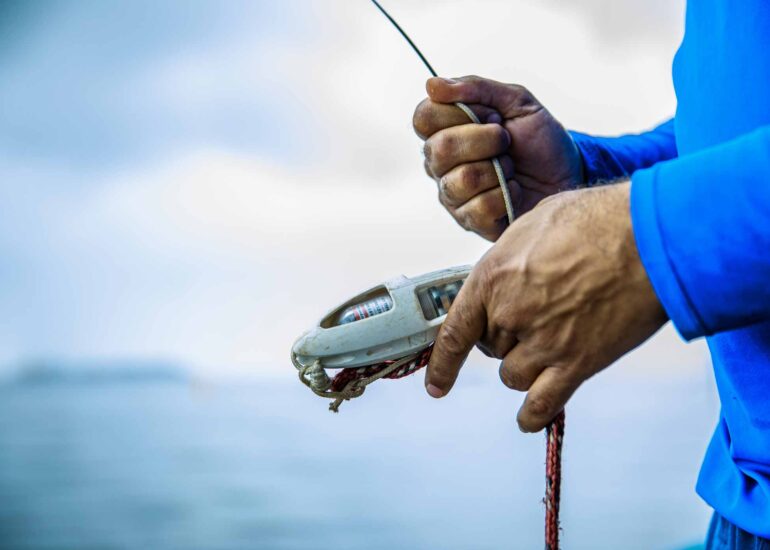 Ocean Pact Derrocagem Paranagua Afugentamento 4