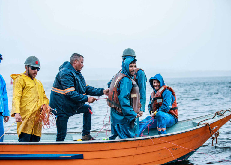 Ocean Pact Derrocagem Paranagua Amarracao Desmonte 71