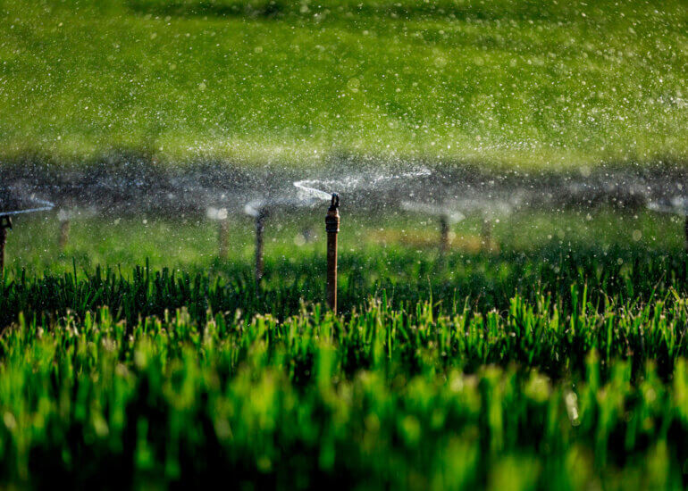 cana-de-açúcar | produção sucroenergética 19 Lori Paula Fotografia Industrial Canavial Mudas 4