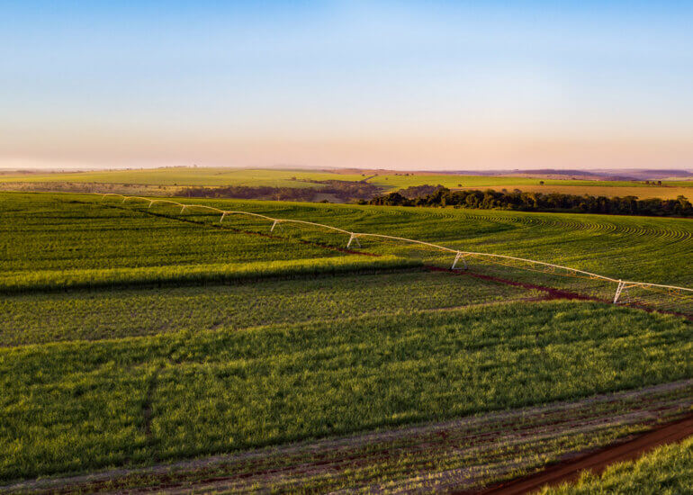 cana-de-açúcar | produção sucroenergética 25 Lori Paula Fotografia Industrial Canavial Pivotagem 3