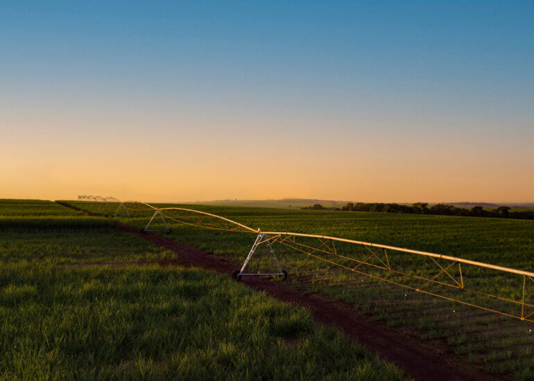 cana-de-açúcar | produção sucroenergética 2 Lori Paula Fotografia Industrial Canavial Pivotagem 4