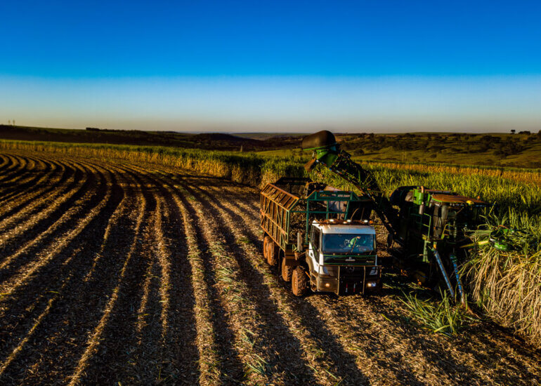 cana-de-açúcar | produção sucroenergética 9 Colheita de cana-de-açúcar