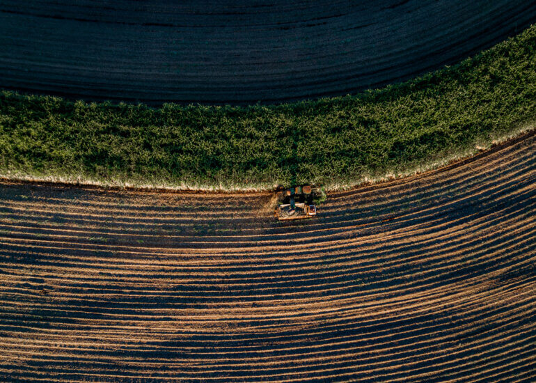 cana-de-açúcar | produção sucroenergética 7 Fotografia aérea Colheita