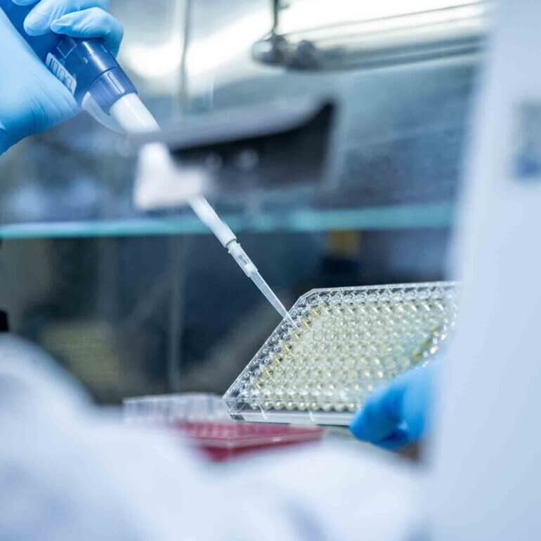 Lori Paula Fotografia Biotecnologia 14