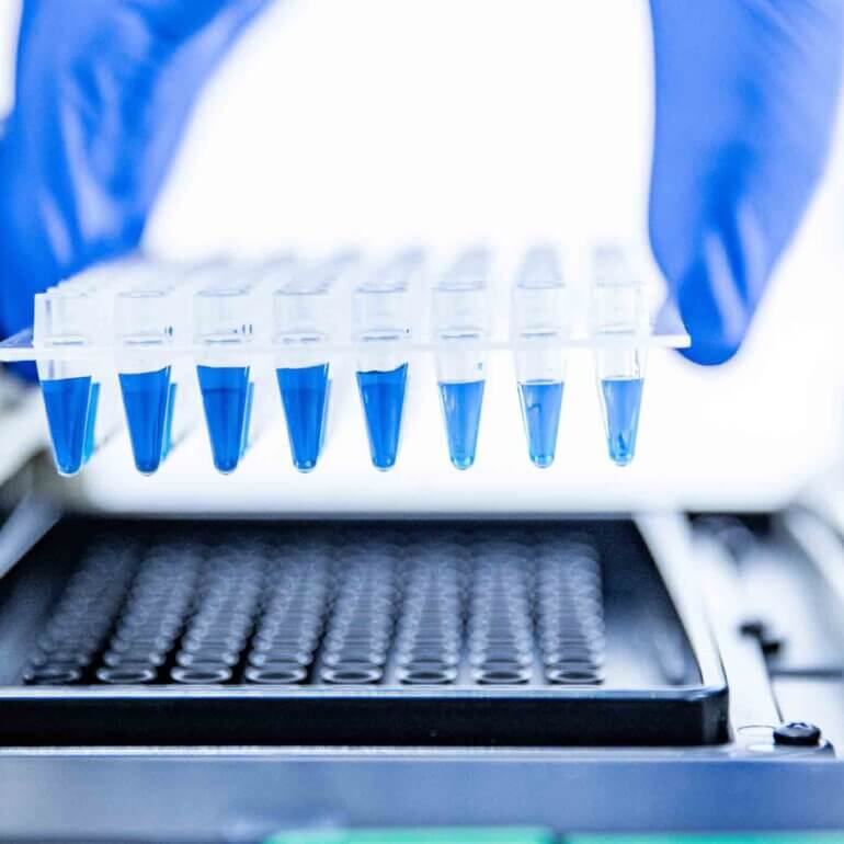 Lori Paula Fotografia Biotecnologia 17