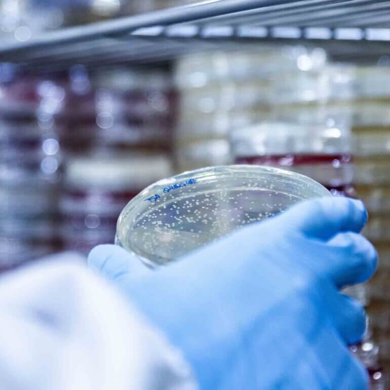 Lori Paula Fotografia Biotecnologia 22