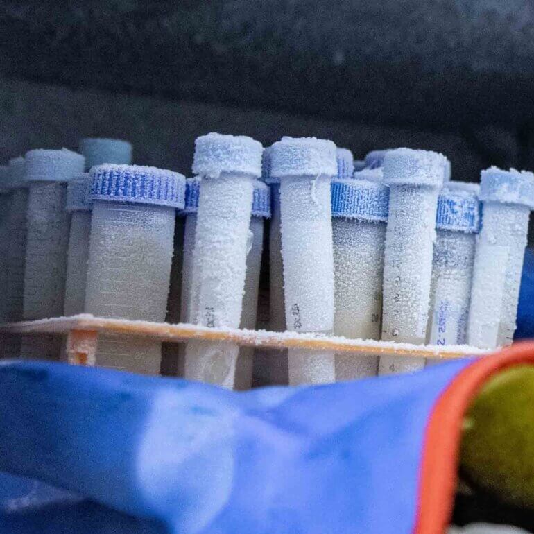 Lori Paula Fotografia Biotecnologia 28